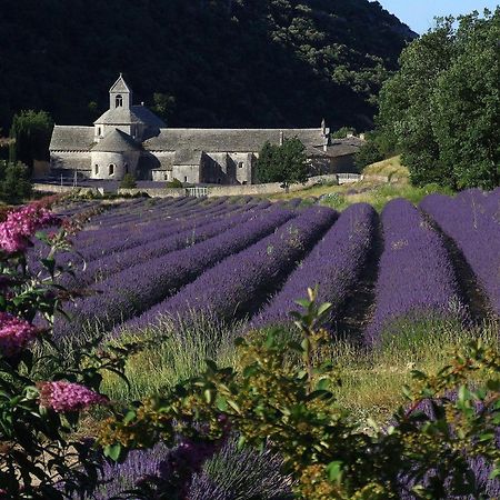 La Calvinette Villa Pernes-les-Fontaines Buitenkant foto