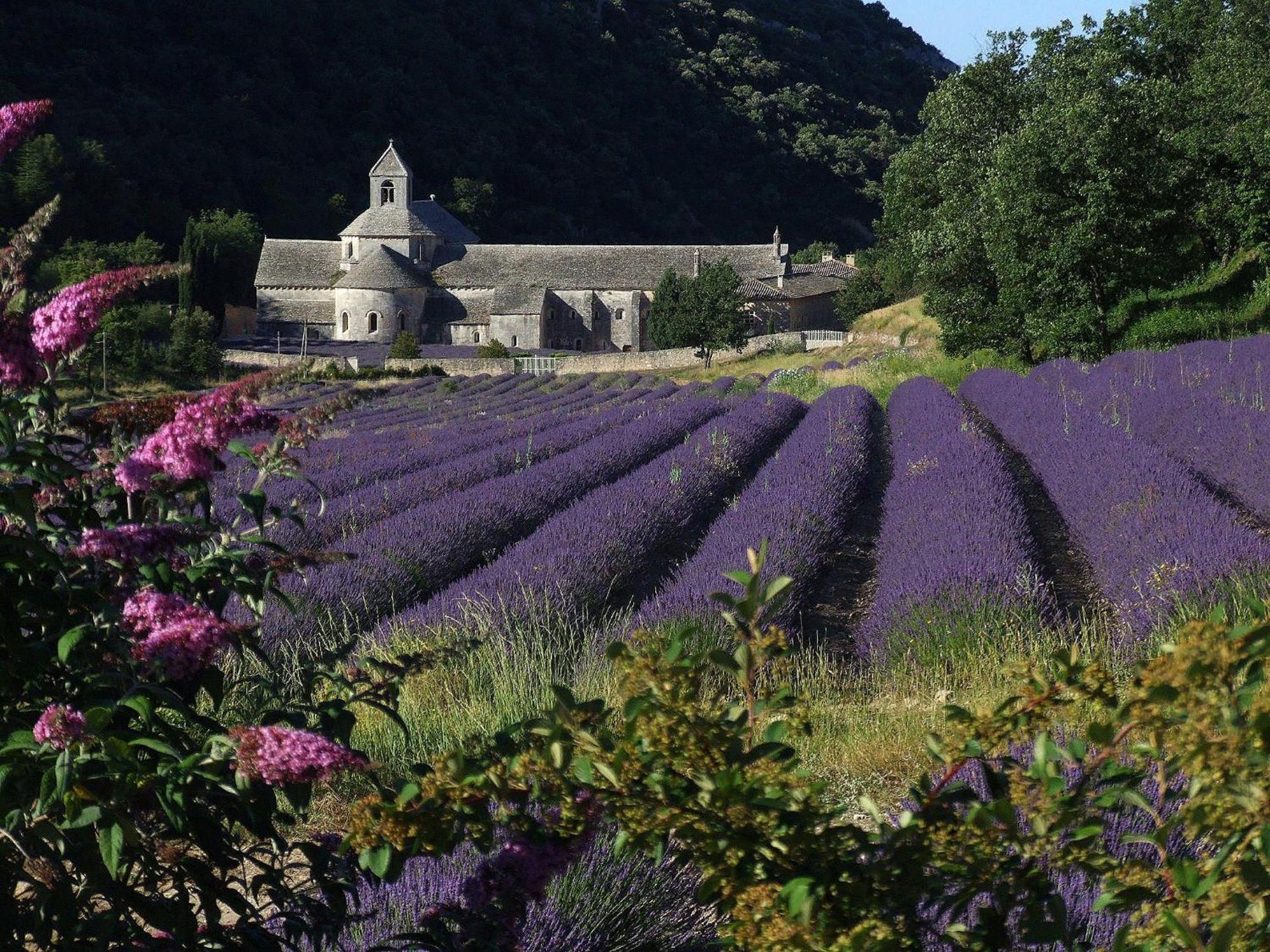 La Calvinette Villa Pernes-les-Fontaines Buitenkant foto